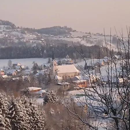Πανσιόν Gaestehaus Der Gamser Winzerstube 3*
