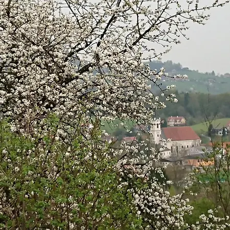 Konukevi Gaestehaus Der Gamser Winzerstube