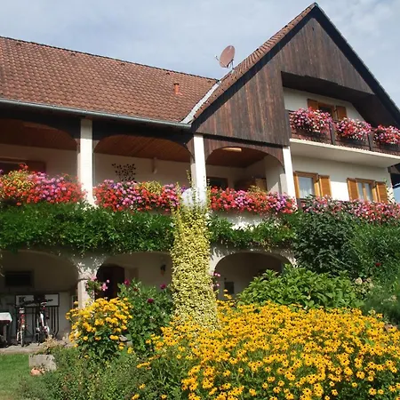 Gaestehaus Der Gamser Winzerstube Bad Gams