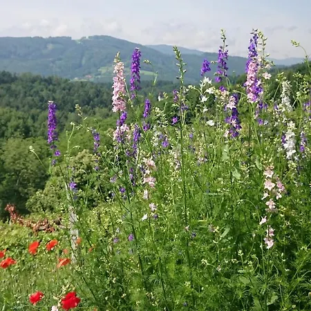 Gaestehaus Der Gamser Winzerstube Penzion 3*