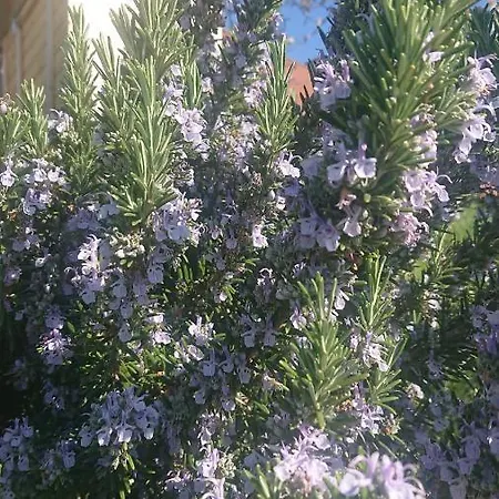 Penzion Gaestehaus Der Gamser Winzerstube 3*