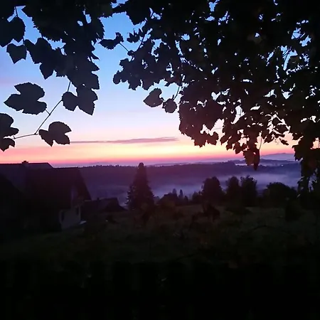 Gaestehaus Der Gamser Winzerstube 3*