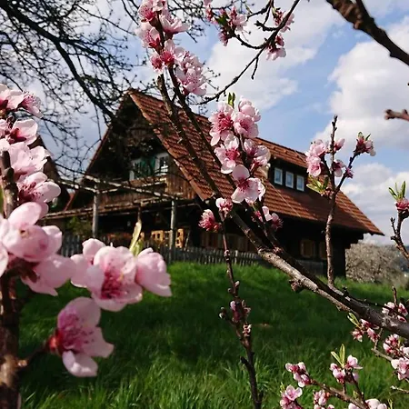Πανσιόν Gaestehaus Der Gamser Winzerstube 3*