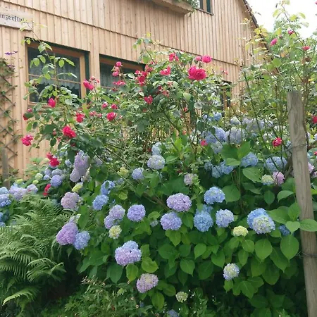 Penzion Gaestehaus Der Gamser Winzerstube Bad Gams