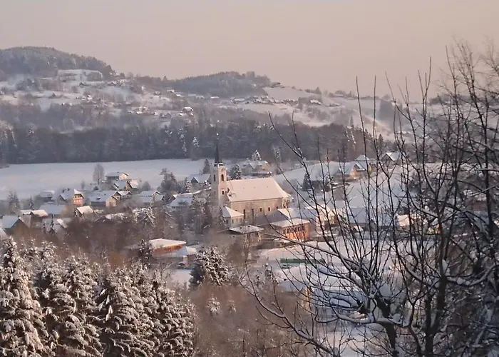 Guest house Gaestehaus Der Gamser Winzerstube 3*