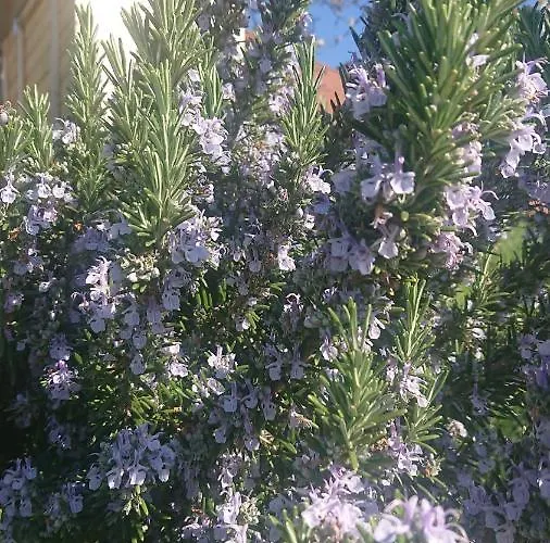 Penzion Gaestehaus Der Gamser Winzerstube 3*