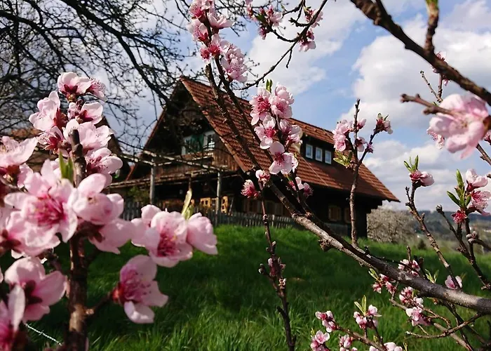 Guest house Gaestehaus Der Gamser Winzerstube 3*