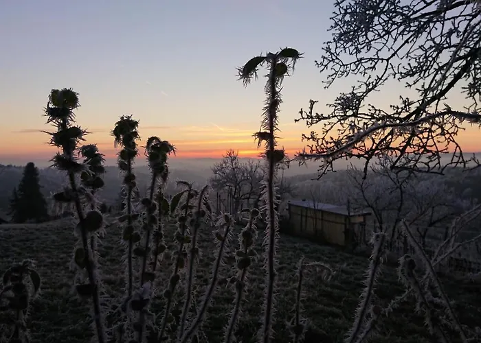 Gaestehaus Der Gamser Winzerstube Penzion 3*