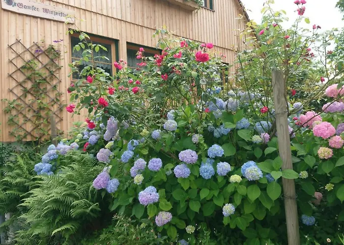 Guest house Gaestehaus Der Gamser Winzerstube Bad Gams