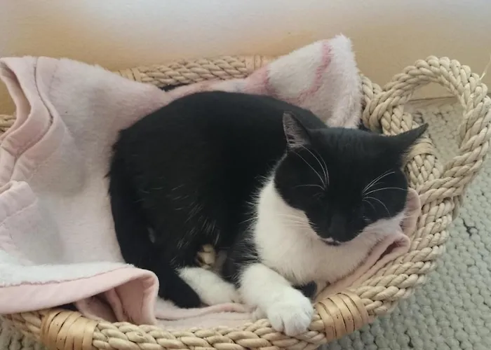 Gaestehaus Der Gamser Winzerstube 3*