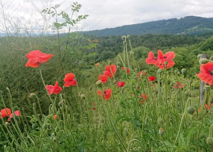 Gaestehaus Der Gamser Winzerstube Penzion Bad Gams