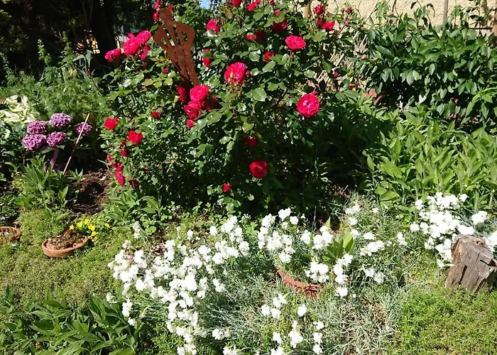 Gaestehaus Der Gamser Winzerstube Bad Gams