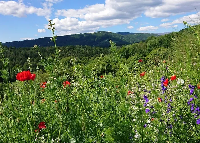 Gaestehaus Der Gamser Winzerstube
